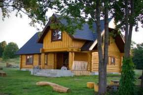  saullēkti ozolos  Ezernieki